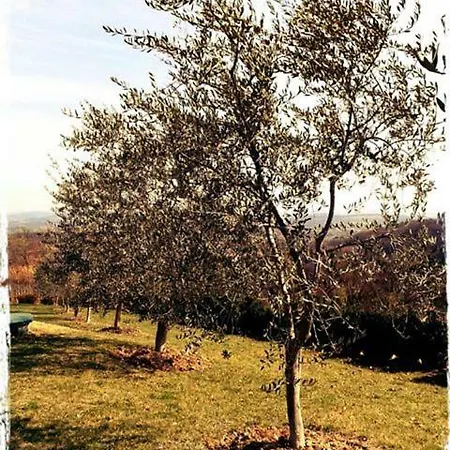 Le Querce Antiche Villa Orte