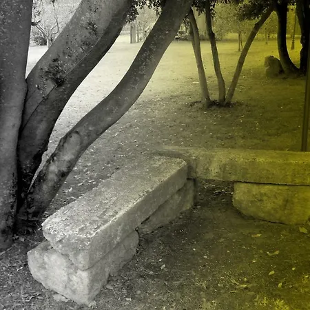 Le Querce Antiche * Orte