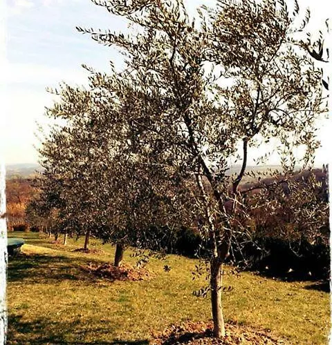 Le Querce Antiche Βίλα Orte