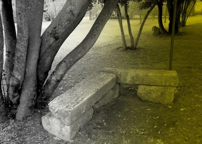 Le Querce Antiche * Orte